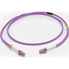 C2G C2G 1m LC/LC OM4 LSZH Fibre Patch - Violetinė - Patch-Kabelis - LC Multi-Mode (M) zu LC Multi-Mode (M) - 1 m - Glasfaser - Duplex - 50/125 Mikrometer - OM4 - lila