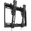 Cabletech UCH0153 Laikiklis LED/LCD/plazminis televizorius 23-42", iki 30kg (vert)