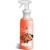 Mondex CAMELLIA purškiklis 0,75 l Universalus preparatas su natūraliu apelsinų aliejumi visiems paviršiams