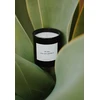 CANDLY&amp;CO sojų žvakė stiklinėje, „Tu esi tobulas“, kvapo Nr. 8, 250 g
