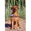 Caniwild Life Jacket L