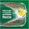 KAPSULĖS IND FAIRY ALLINONE LEMON 56VNT