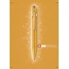 Caran D'ache Caran d`Arche CARAN D 'ACHE 849 Goldbar pen, M, dėžutėje, aukso