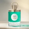 Caron Vétiver Infini EDP parfumuotas vanduo moterims Papildomas, 30 ml