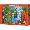 Castorland Dėlionė 2000 vnt. - Papūgos