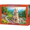 Castorland Dėlionė 1000 vnt. - Naujoji karta