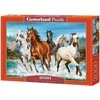 Castorland Dėlionė 2000 vnt. - Gamtos šauksmas