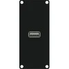 Caymon Modulis su USB 2.0 A tipo jungtimi (CASY161 / B)