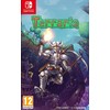 Žaidimas Nintendo SWITCH Terraria