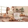 Cecotec Nana BabyCare skaitmeninis buteliukų sterilizatorius