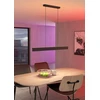 Pakabinamas šviestuvas EGLO | Lubinis šviestuvas Andreas | 4320 lm | 19 W | Nuo šiltos iki šaltos, RGB | LED | 220–240 V