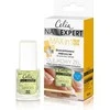 Celia Nail Expert, 10 ml