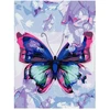 Centrum Rinkinys tapybai ant drobės pagal skaičius BUTTERFLY, 300x400mm