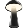 Century Šimtmečio LED lempa COCO juoda 1,5W 2700K 100 Lumen Dimm. IP44