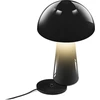 Century Šimtmečio LED lempa COCO juoda 1,5W 2700K 100 Lumen Dimm. IP44
