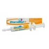 CEVA Diarsanyl Plus viduriavimo pasta - papildai šunims ir katėms - 10 ml