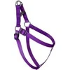 Chaba CH TRASMA REG6. OBWL90 VIOLETS CCM 4776