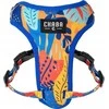 Chaba CHABA DIRŽŲ APSAUGŲ KOMFORTO STORY ``L`` AUSSIE 2.0/42-56cm
