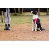 Chaba CHABA GUARD COMFORT DIRŽAI M 2,0 cm / 43-52 cm FUCHSIA