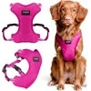 Chaba CHABA GUARD COMFORT DIRŽAI S 1,6 cm / 37-43 cm FUCHSIA