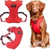 Chaba CHABA GUARD COMFORT XL DIRŽAI 2,5 cm / 64-76 cm RAUDONA
