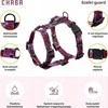 Chaba CHABA GUARD STORY DIRŽAI ``L`` LAKOTA 2,5/50-57cm