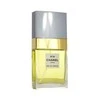 Chanel No 19 EDP parfumuotas vanduo moterims, 100 ml