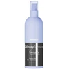 Chantal ProSalon Treatment Glossyfication Serum apsauginės priemonės plaukų galiukams 100 ml (1175603)