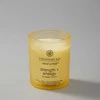 Chesapeake Bay Candle maža žvakė – Strength &amp; Energy (Pineapple Coconut)