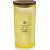 Chesapeake Bay Candle didelė žvakė – Strength &amp; Energy (Pineapple Coconut)
