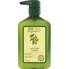 Plaukų ir kūno kondicionierius CHI Olive Organics Hair & Body Conditioner 340ml