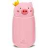 VAIKŲ TERMINIS BUTELĖLIS PIGGY 320 ml - CHIC-MIC