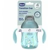 Chicco Puodelis training su soft kandiklis 200ml turquoise 4m+