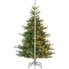 None Nežinomas Dirbtinė Kalėdų eglutė Kiens Fir 670280, 210 cm, su LED