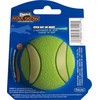 Chuckit! Chuckit! Max Glow Ultra Squeaker Ball Medium [43142]