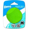 Kamuoliukas šuniui Chuckit! ERRATIC BALL MEDIUM (201101)
