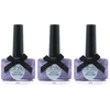 Ciate Paint Pot Nagų lakas 5.7 Violet šviesiai rudas Ash Raudona Intense šviesiai rudas 13.5 ml