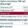 Vanduo Cisowianka Negazuotas mineralinis vanduo 500 ml 21918792