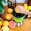 Citrusinių vaisių sulčiaspaudė Cecotec Citrusinių vaisių sulčiaspaudė Zitra Steel