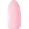 Activeshop CLARESA bazės pagrindas 20 -5g