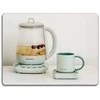 Keraminis puodelis BUYDEEM 300 ml, modelis CD1018, spalva Cozy Greenish