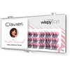 Clavier Wispy Soft by Marta „Zmalowana” Parciak kępki rzęs – natūralus efekt wispy i lekka objętość 10-13mm