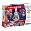 Edukacinis žaidimas Žmogaus kūnas Clementoni, 60249