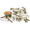 Clementoni, Mokslas - Žaidimas, Archeofun Triceratops šviečia tamsoje, Dėlionė, 61723, Unisex, 7+ metai