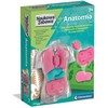 Clementoni Žaislai CLE Naukowa zabawa Anatomia 50252