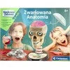 Clementoni, Anatomijos edukacinis rinkinys