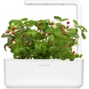 Click And Grow Click&Grow Sėklų kapsulės Smart Soil Braškė 3 pak.