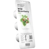 Click And Grow Click&Grow Sėklų kapsulės Smart Soil Braškė 3 pak.