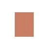 „Clinique True Bronze“ presuoto pudros bronzantas, 03 Sunblushed 9, 6 g
