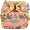 Nappy Close Caboo Meška, daugkartinio naudojimo sauskelnių su 3-16 kg snapais, 1 vnt.